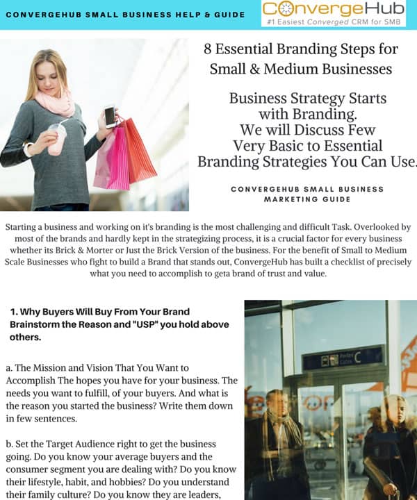 CRM Infographics with Small Business Infographics and Guide